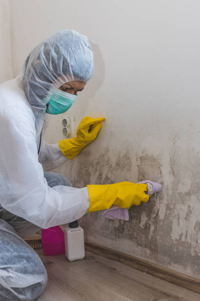 Best Real Estate Mold Inspection  in Tyler, TX