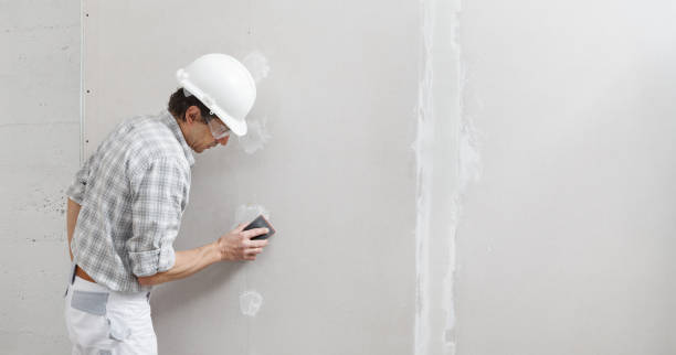 Best Mold Prevention Services  in Tyler, TX