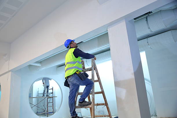  Tyler, TX Mold Removal Pros